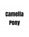 CAMELLA PONY
